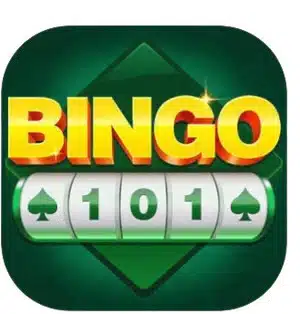 Image for Bingo 101
