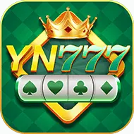 Image for YN 777